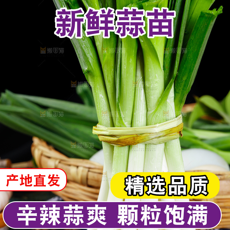 深底上的蒜苗