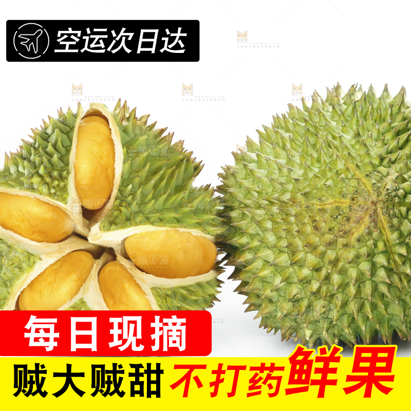 白底上放着泰国金枕榴莲