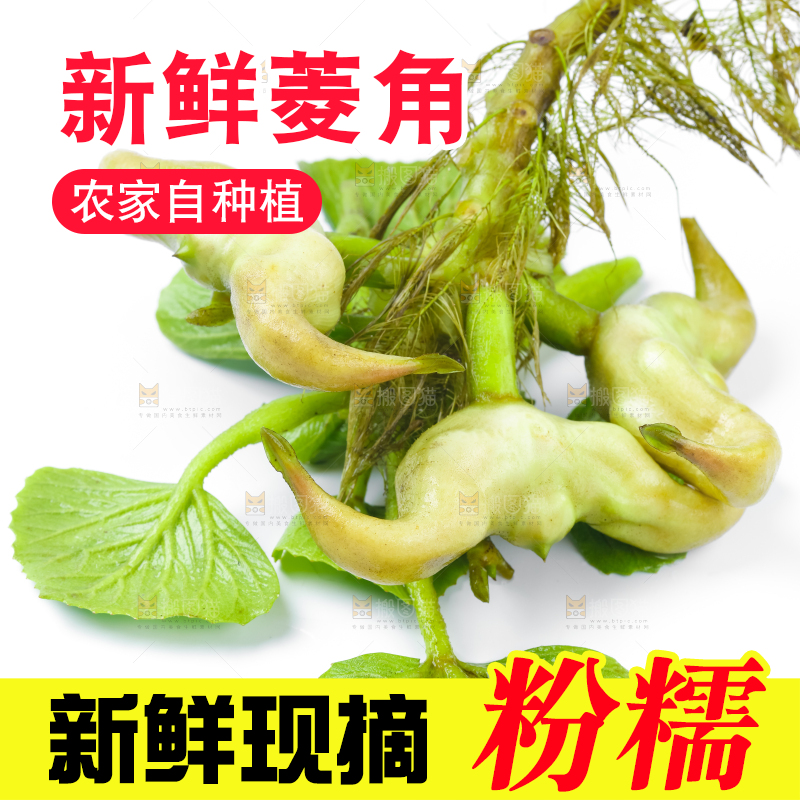 浅底上的新鲜菱角