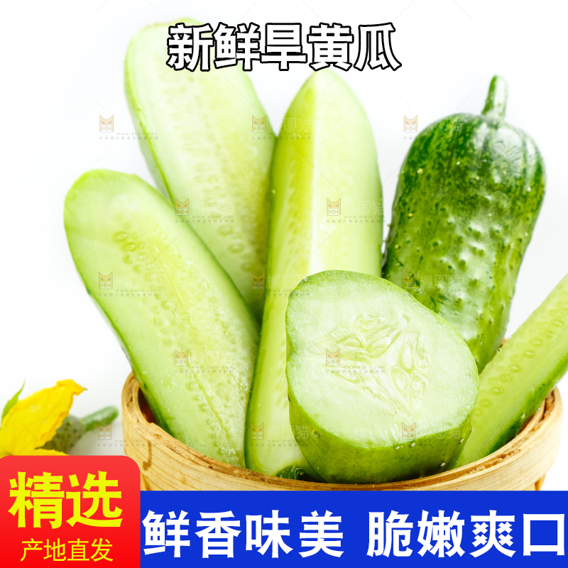 篮子里的刺黄瓜