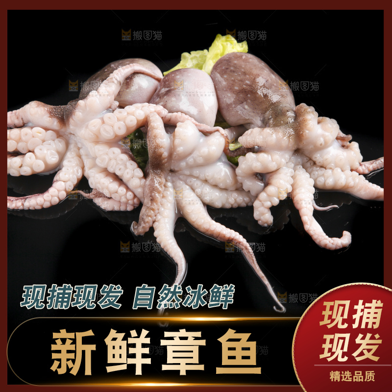 黑底上的八爪鱼