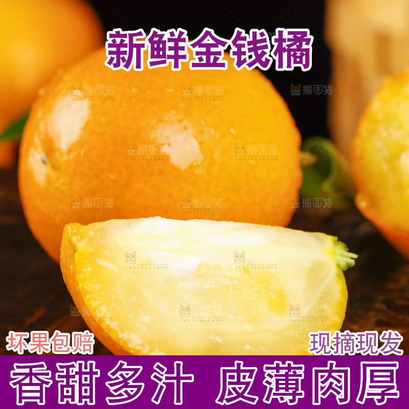 黑底上的小金桔
