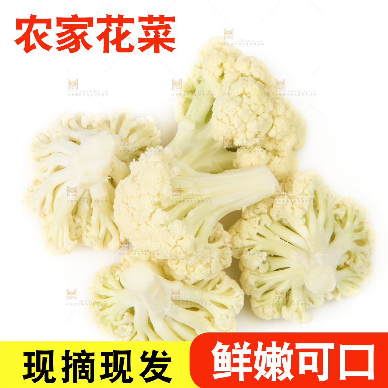 白底上的白花菜