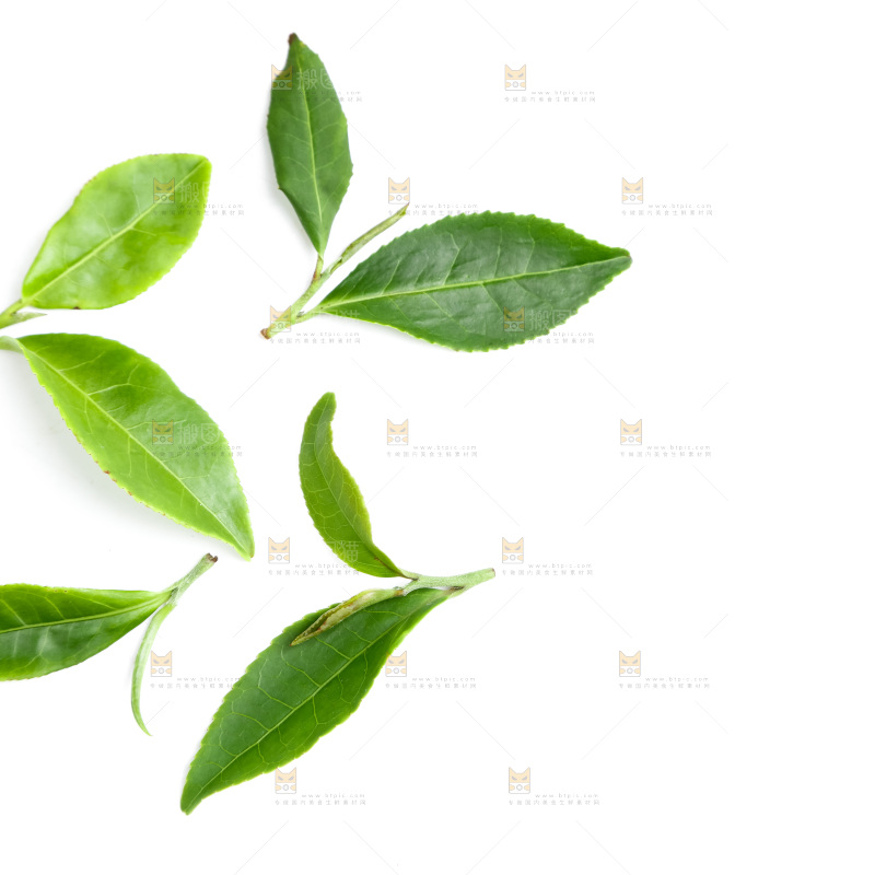 白底上的茶叶