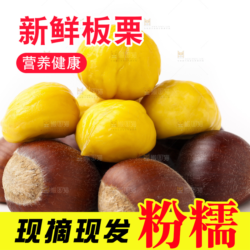 浅底上的迁西板栗