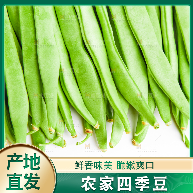 白底上放着新鲜四季豆