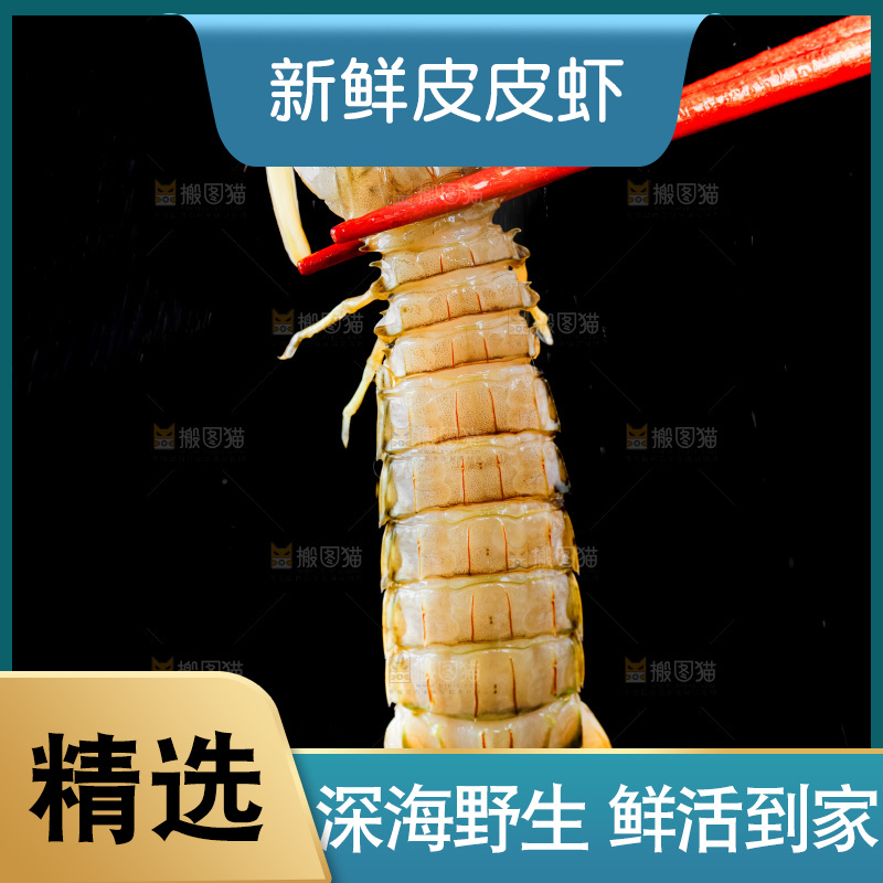 筷子上夹着虾姑