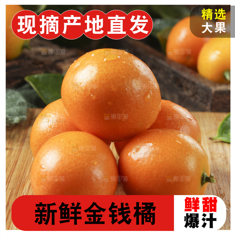 木板上摆放着广西金钱橘