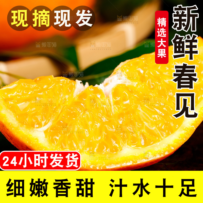 深底上的春见柑桔