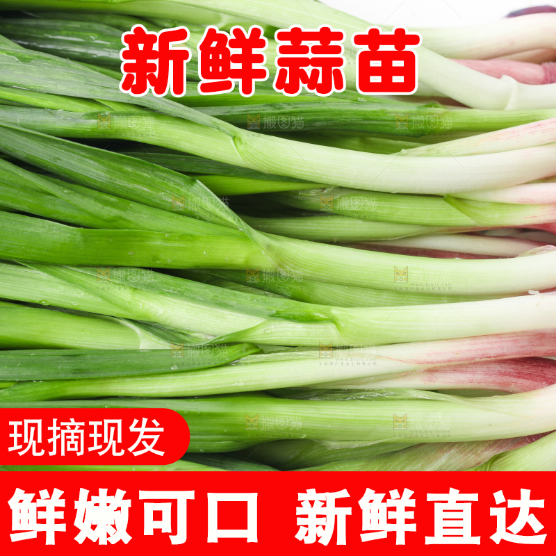 白底上放着蒜苗