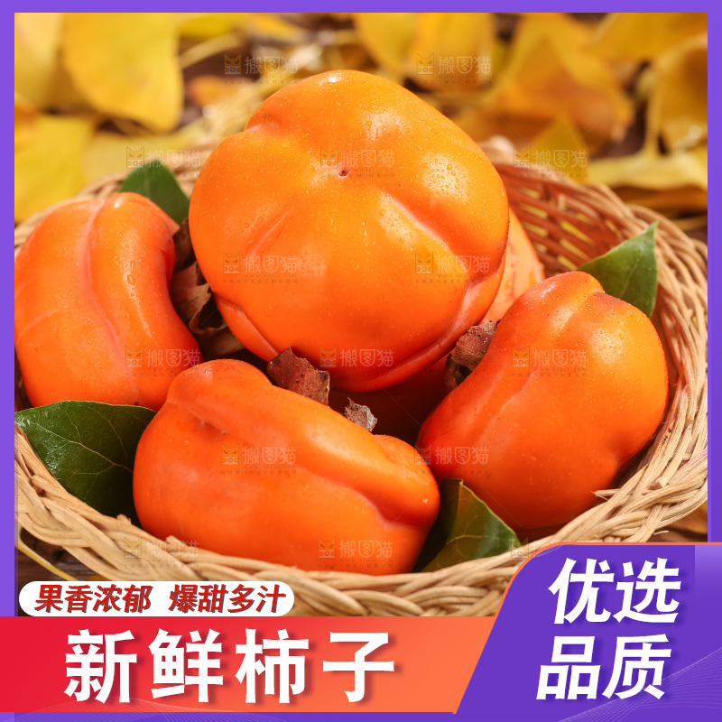 篮子里装着河北磨盘柿子