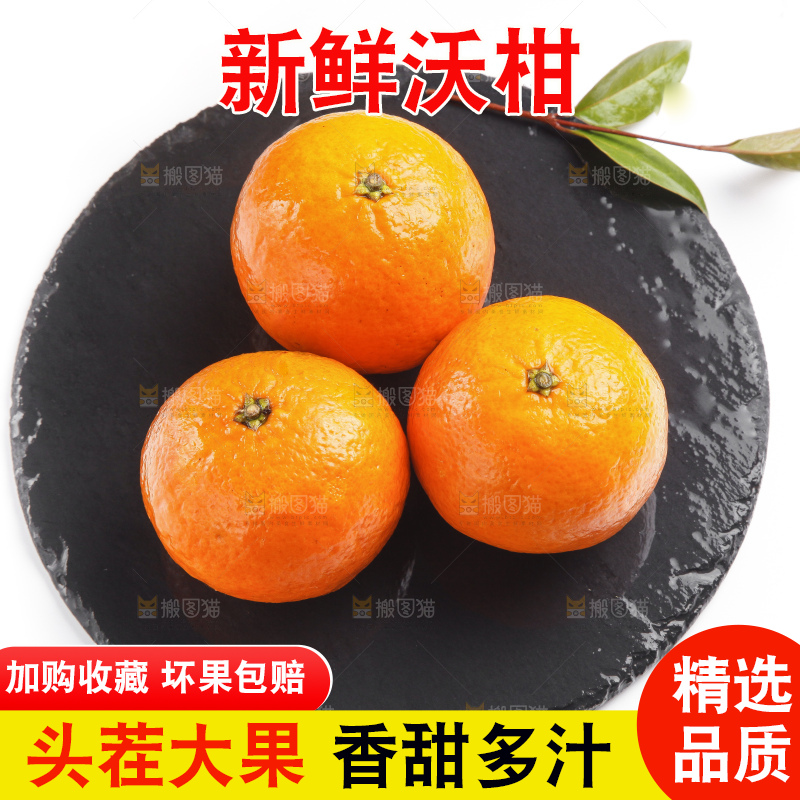 石板上的沃柑