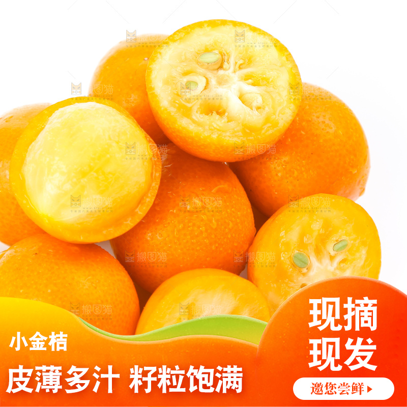 白底上的融安小金桔