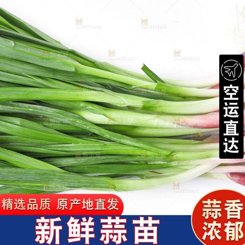白底上放着蒜苗