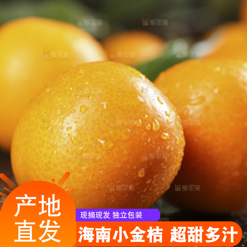 黑石板上的广西金钱橘