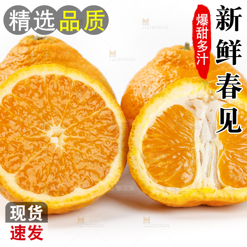 白底上摆放着耙耙柑