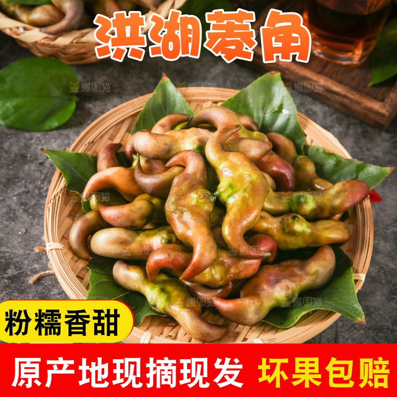 篮子里装着菱角