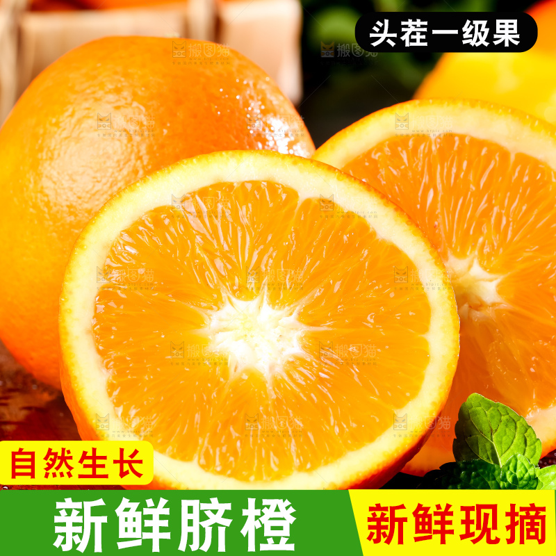 黄板子上的脐橙