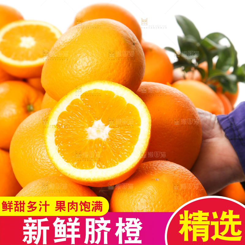 手里拿着长虹脐橙