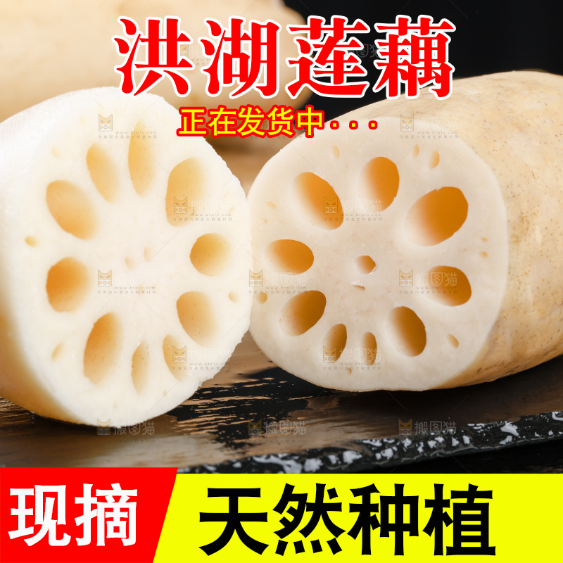 黑底上的莲藕