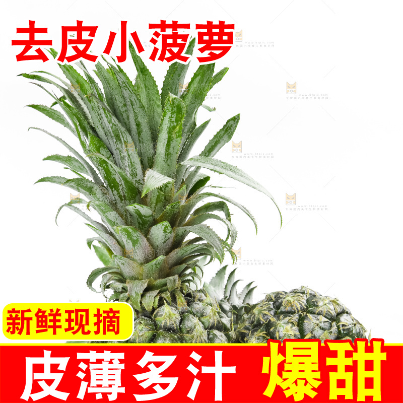 白底上放着泰国小菠萝