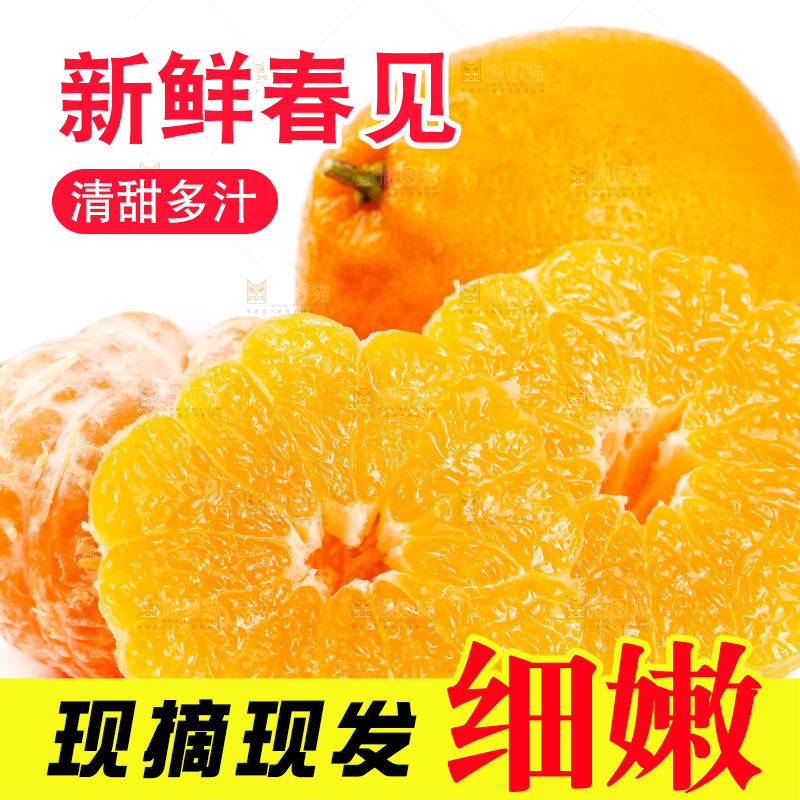 白底上放着耙耙柑