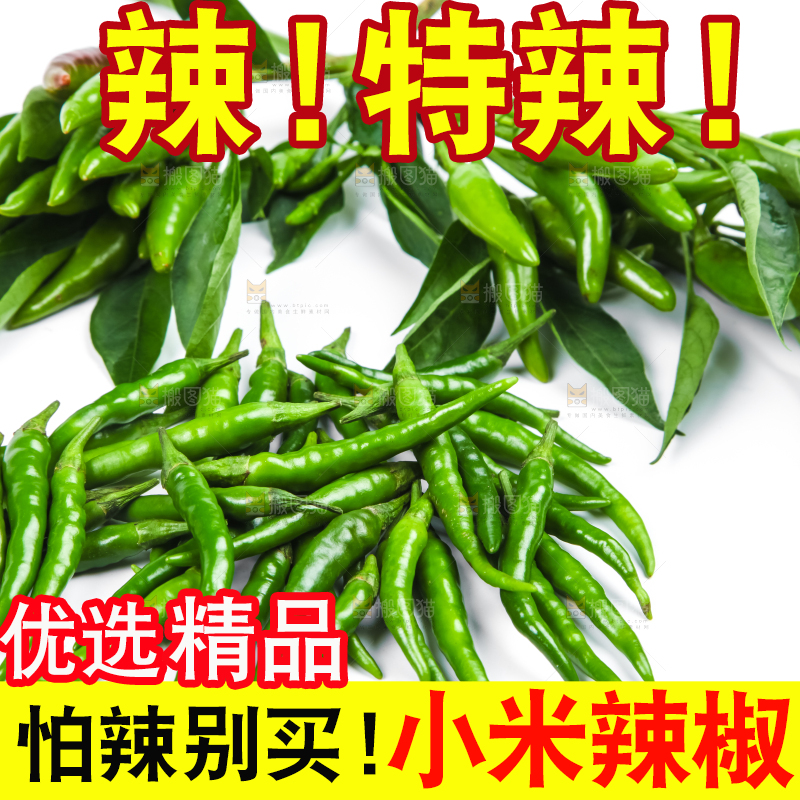 白底上的小米椒