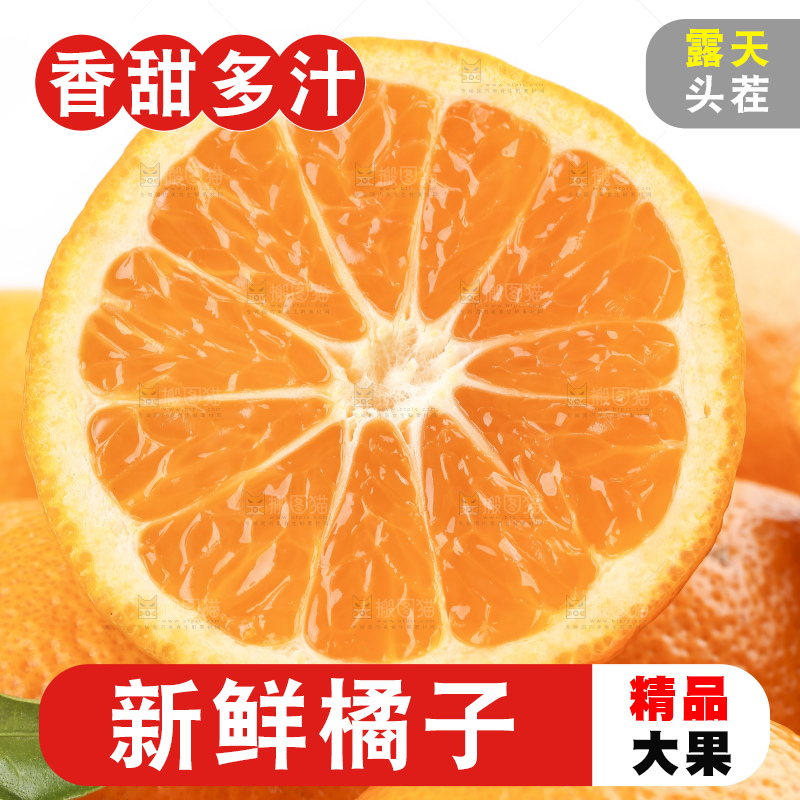 白底上的椪柑橘