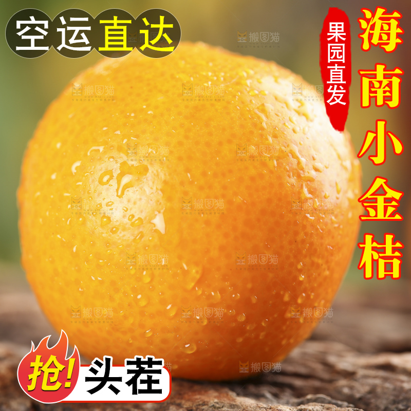 木底上放着新鲜金钱桔