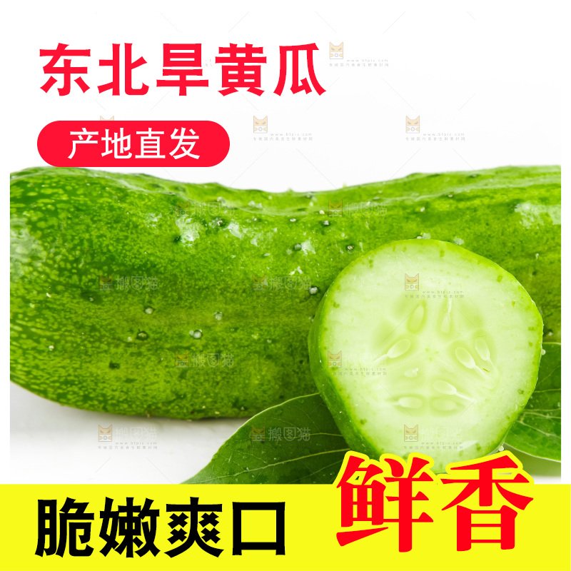 白底上的旱黄瓜