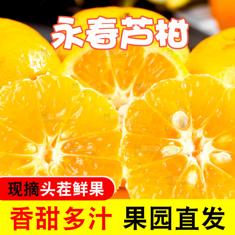 黑底上的福建芦柑