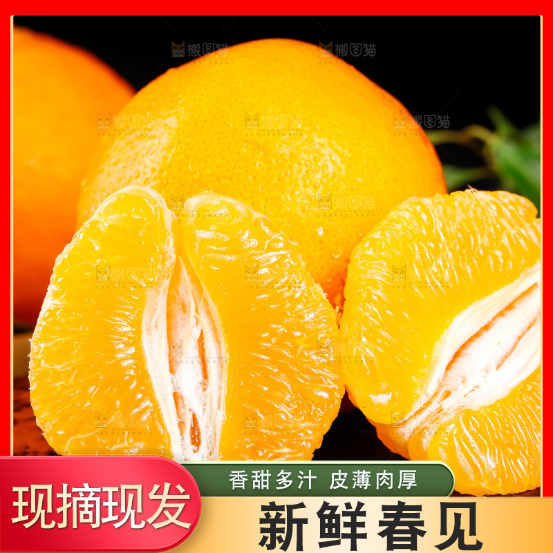 深底上的春见柑桔