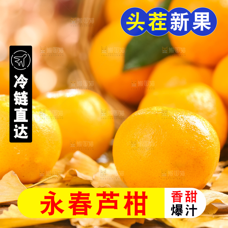 黄底上的椪柑橘