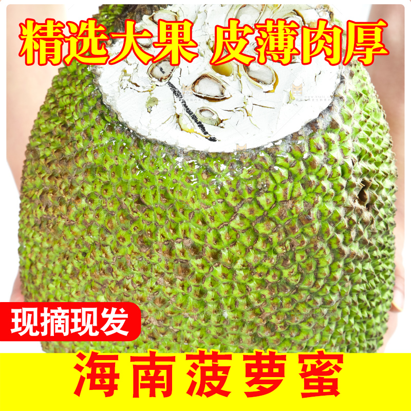 手里抱着新鲜菠萝蜜