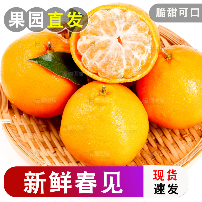 白底上放着耙耙柑