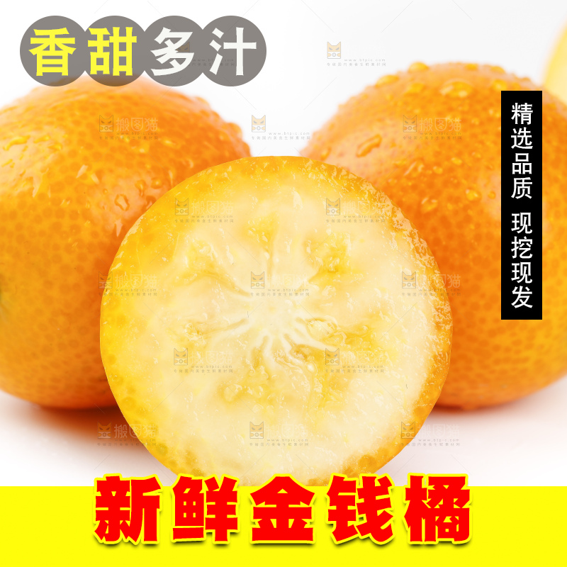 白底上的金桔