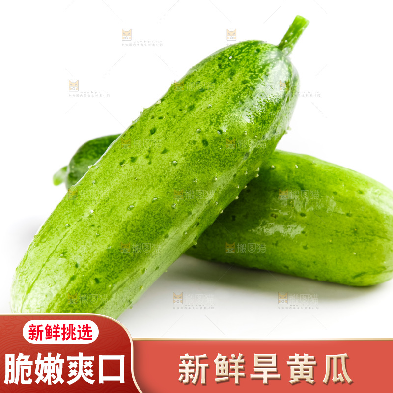 白底上的小黄瓜
