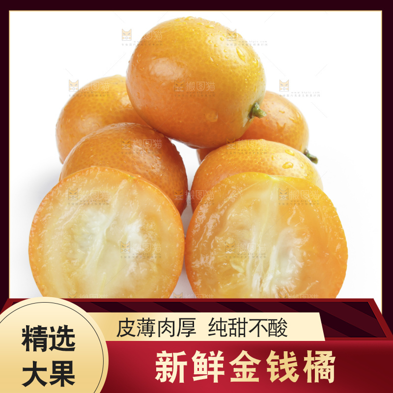 白底上的金钱橘