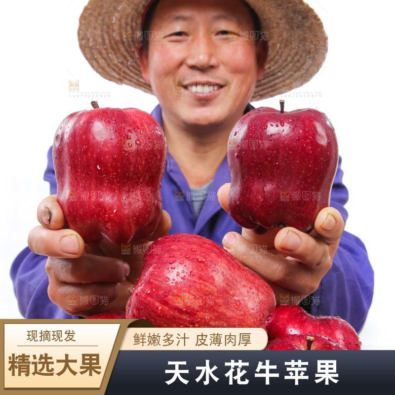 农民手里拿着天水花牛苹果