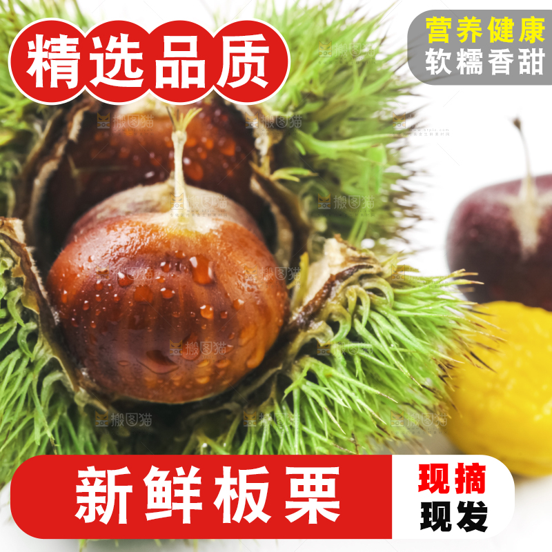 浅底上的板栗