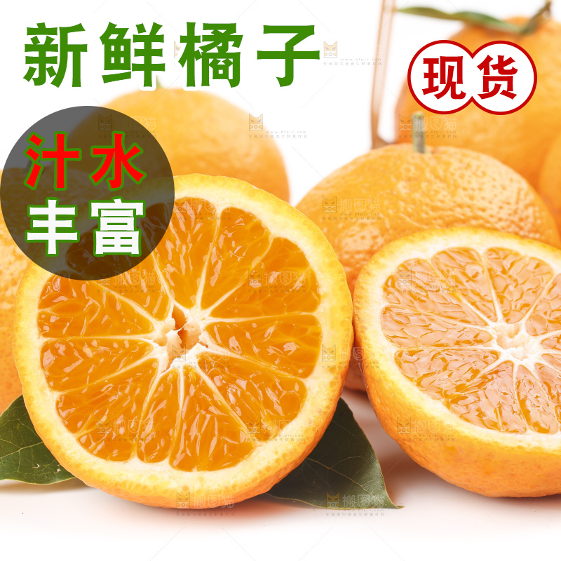 白底上的椪柑橘