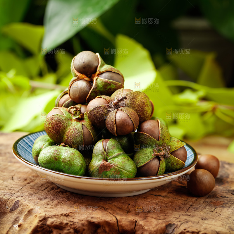 深底上的茶树果