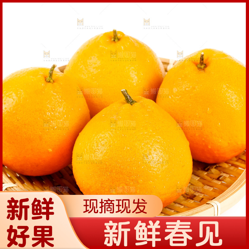 白底上放着耙耙柑