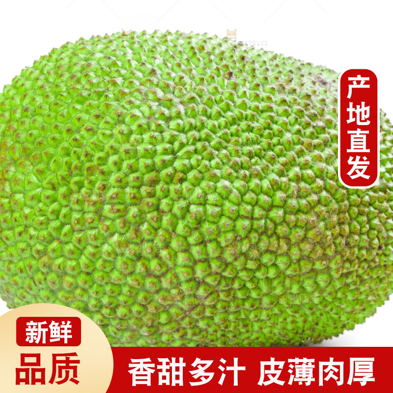 白底上放着海南红肉菠萝蜜