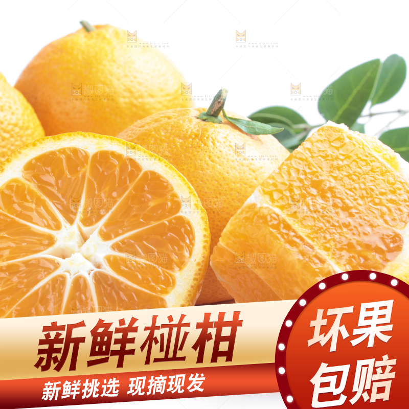 白底上放着四川椪柑