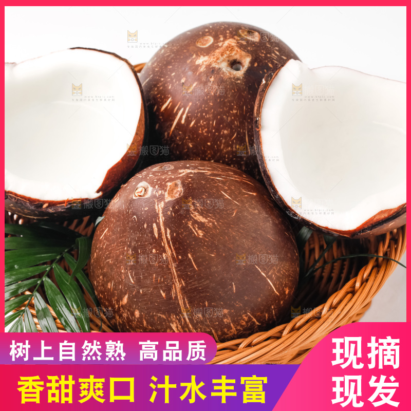白底上放着椰王