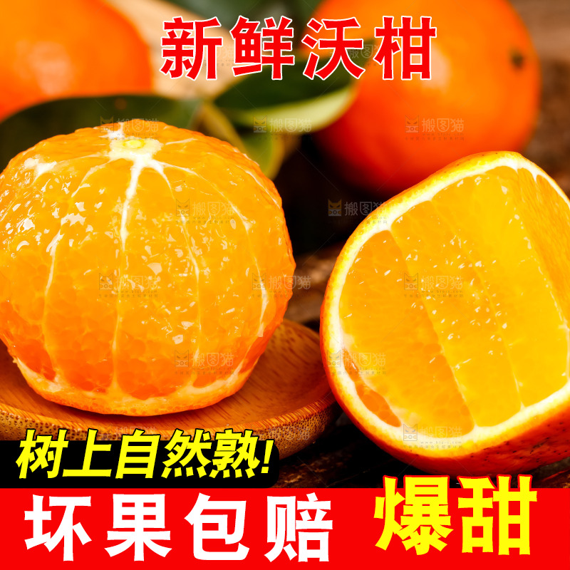 竹底上的四川沃柑