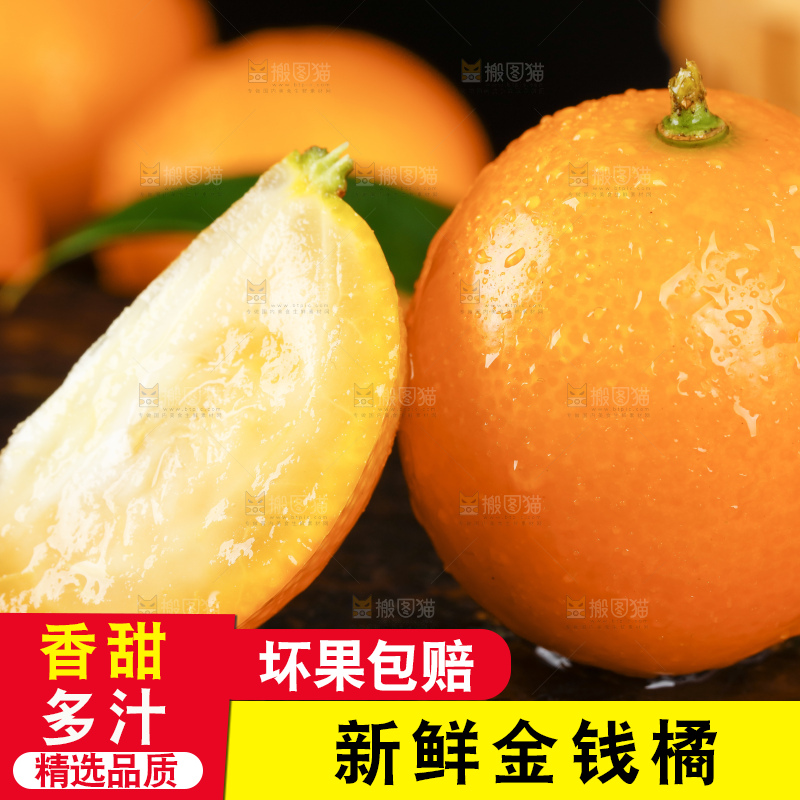 黑底上的小金桔
