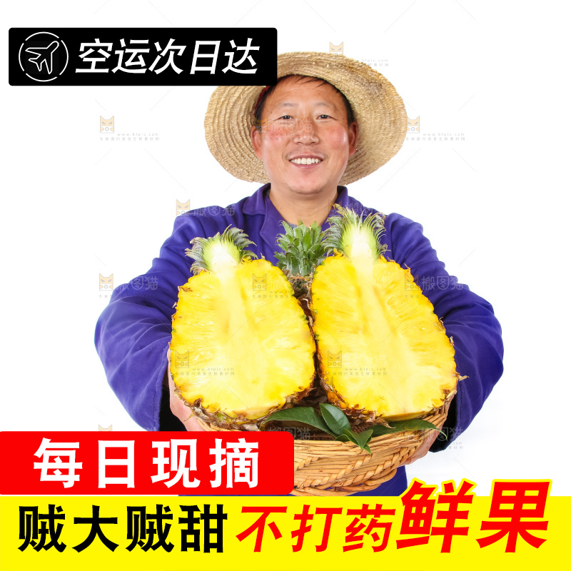 农民手里拿着香水菠萝