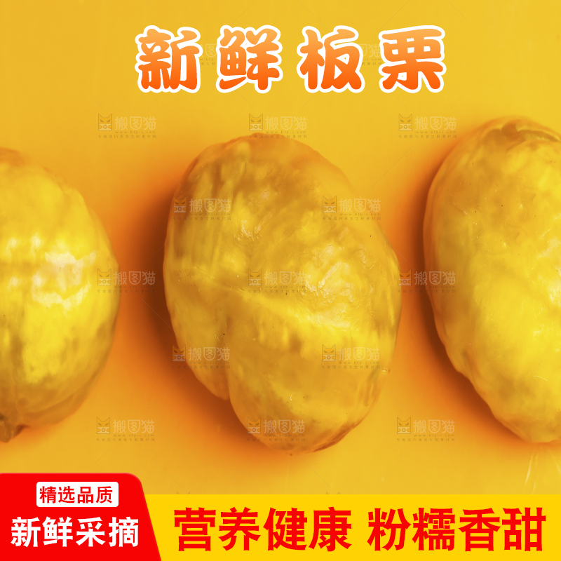 黄底上的迁西板栗